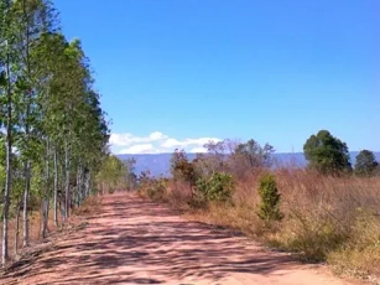 ขายที่ดิน อเกษตรสมบูรณ์ จชัยภูมิ ที่ดินมีโฉนด ราคาถูก