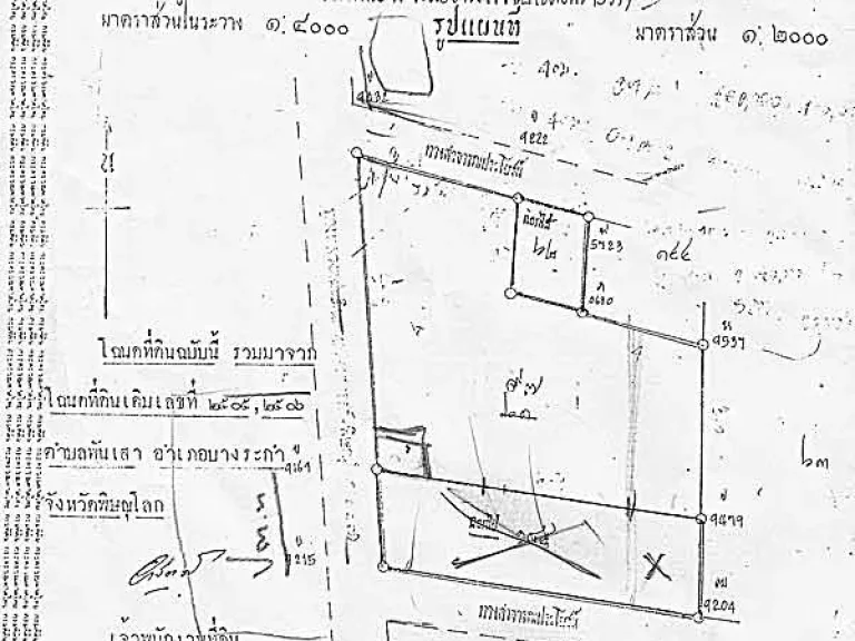 ขายท่าข้าว 12 ไร่ บ่อทอง บางระกำ-พิษณุโลก ติดถนน 117 สายพิษณุโลก-นครสวรรค์