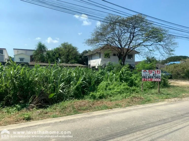 ขายที่ดินเพชรเกษม79 แยก6ใกล้สำนักงานเขตหนองแขม ปากซอยมีตลาดนัดที่ดินรูปสี่เหลี่ยมผืนผ้าพื้นที่87ตรว