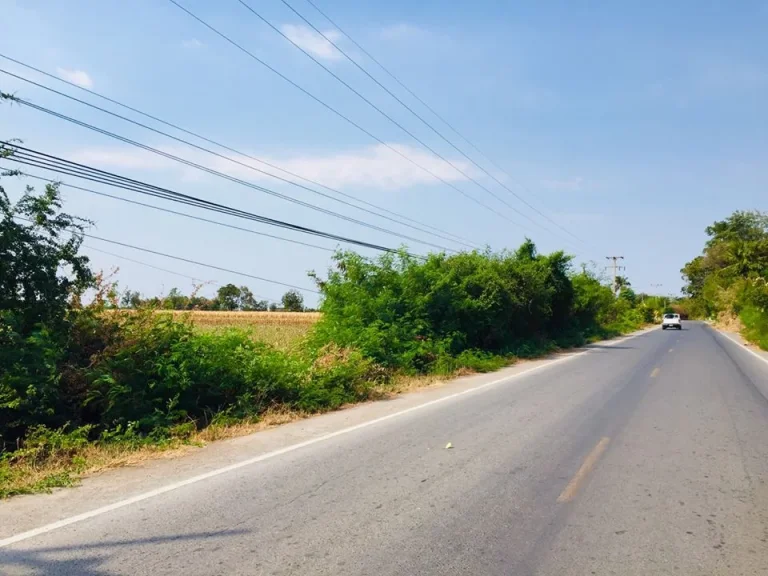 ที่ดินโฉนด 2-3 ไร่ ติดถนน นำ้ไฟ