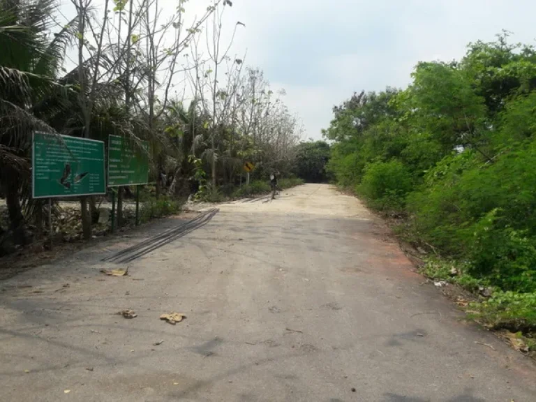 ขาย ที่ดิน ใกล้วัดบ้านเกาะ ถนนพระราม 2 อเมืองสมุทรสาคร จสมุทรสาคร