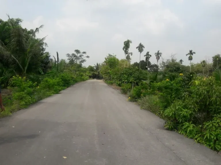 ขาย ที่ดิน ใกล้วัดบ้านเกาะ ถนนพระราม 2 อเมืองสมุทรสาคร จสมุทรสาคร