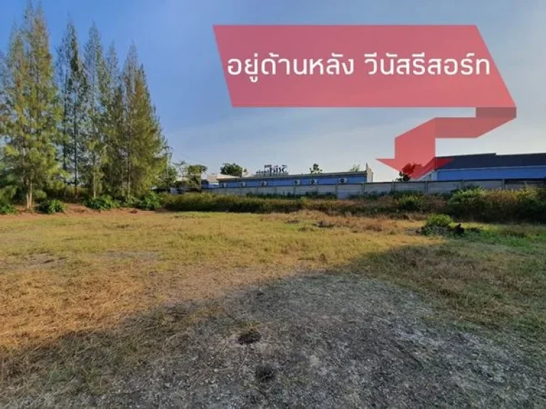 ที่ดินจัดสรร ปราณบุรี อยู่หลัง รีสอร์ทวีนัส พร้อมขาย แบ่งแยกเอกสารเรียบร้อย 60 ตรว