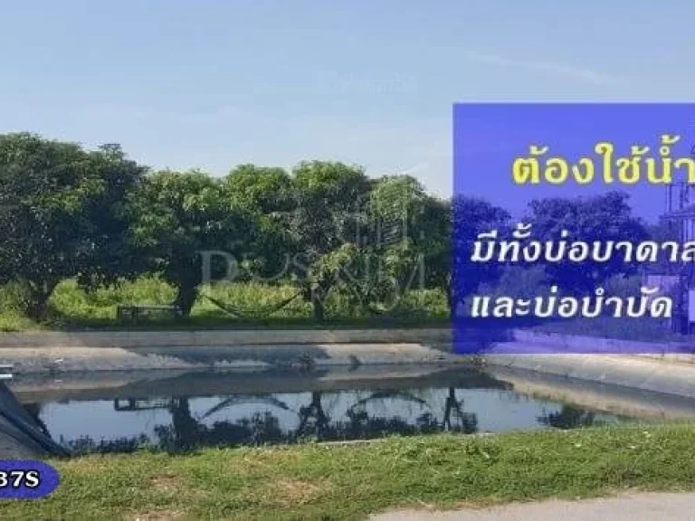 ลดให้เลย 7 ล้าน โรงงาน 4 ไร่ รีโนเวทเหมือนใหม่ พร้อมใบ รง4 ฟอกยีนต์ ระบบน้ำครบถ้วน ใกล้พระราม 2 - ขายโรงงานสมุทรสาคร