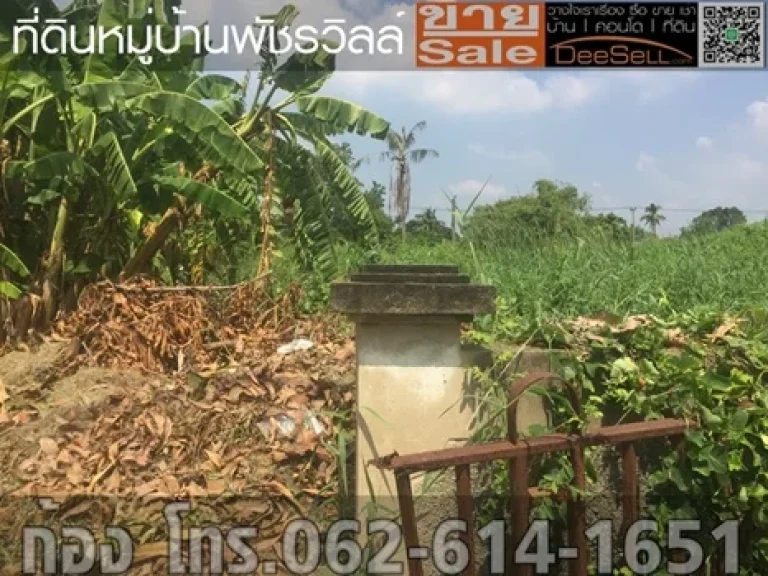 ขายที่นนทบุรี 1548ตรวๆละ30000บ เหมาะแก่การพักอาศัย พัชรวิลล์ บางกรวย-ไทรน้อย ใกล้ถรัตนาธิเบศร์