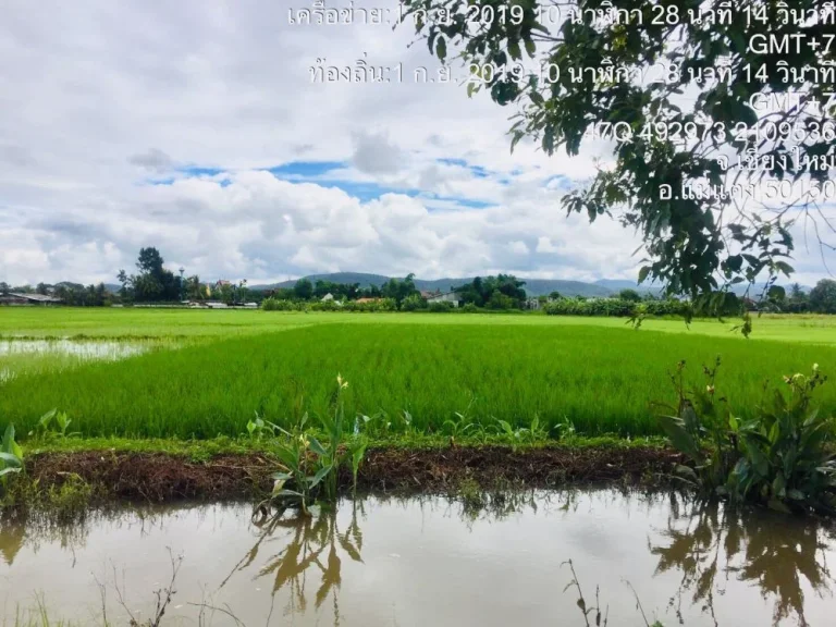 ขายที่นา วิวดอย มีลำเหมือง แม่แตง เชียงใหม่