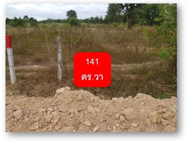 ขาย ที่ดิน 141 ตรวา C71-2 ใกล้ตัวอำเภอกุดจับ 141 sqwa land at Kudchab District Udonthani Province for sale