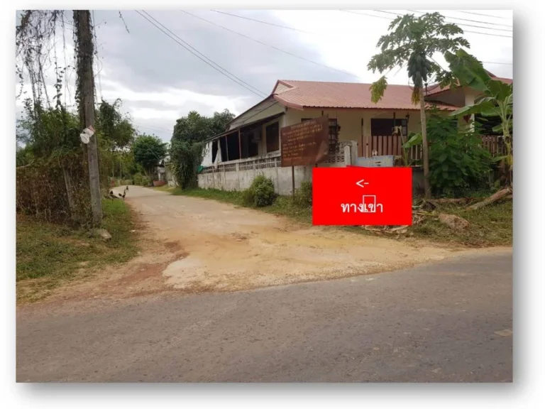 ขาย ที่ดิน 141 ตรวา C71-2 ใกล้ตัวอำเภอกุดจับ 141 sqwa land at Kudchab District Udonthani Province for sale