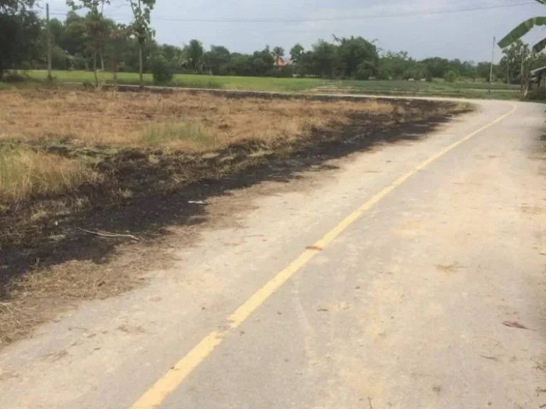 ขายที่ดินดอยสะเก็ต ติดถนนคอนกรีต เชียงใหม่