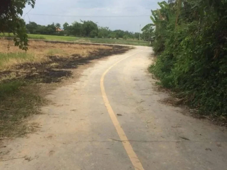 ขายที่ดินดอยสะเก็ต ติดถนนคอนกรีต เชียงใหม่