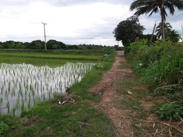 ขายที่ดินวิวดอยภูเขาทุ่งนา ใกล้โรงพยาบาลแม่วางเชียงใหม่