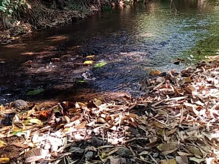 ขายที่ดินวิวดอย มีธารน้ำ บ้านปงหางดงเชียงใหม่