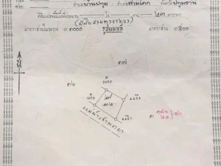 ขายที่ริมแม่น้ำเจ้าพระยา 169 ตรว มีที่งอกริมน้ำประมาณ 200 ตรว เหมาะกับการปลูกบ้านริมน้ำ สงบร่มรื่น