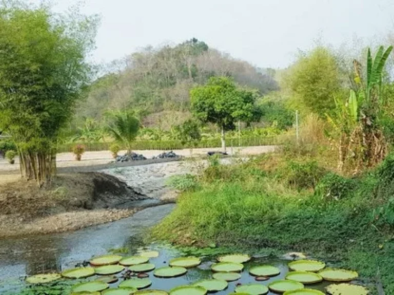 ขายที่สวยวิวเขา ติดคลองธรรมชาติ แบบฟรีโอน เนื้อที่ 11 ไร่ 77 ตรว ตชะอม อแก่งคอย จสระบุรี