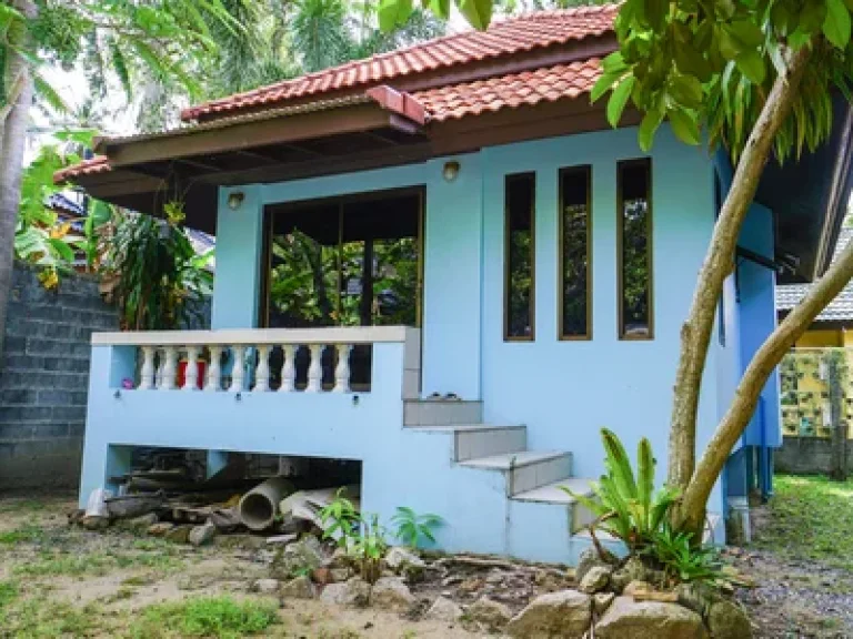 Sell House 2 house in Lamai area KOh Samui Surat Thani Thailand