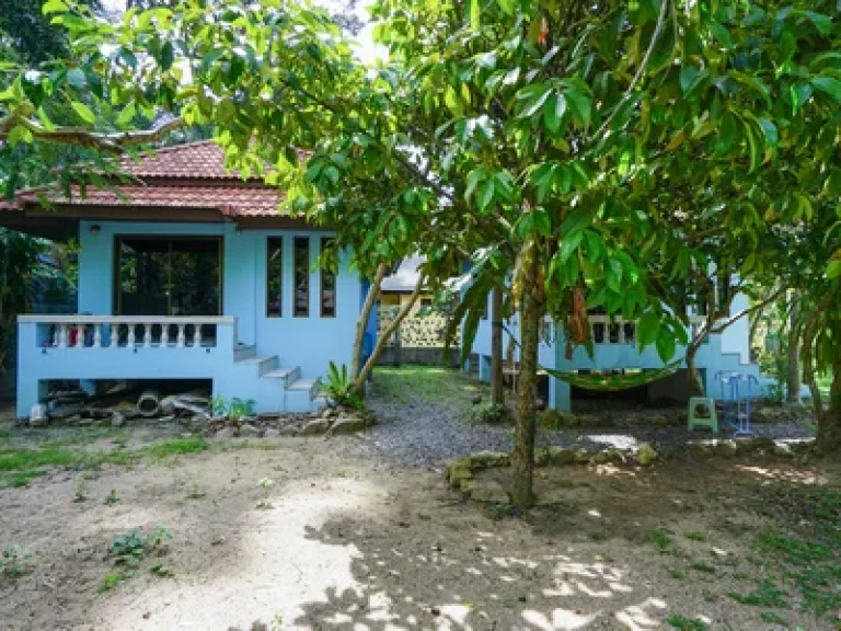 Sell House 2 house in Lamai area KOh Samui Surat Thani Thailand