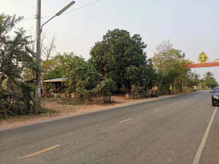 ขายที่ดิน2-1-82ไร่ แปลงสวย ถมน้อย เหมาะสร้างบ้านจัดสรร ถมะลิวัลย์-แดงใหญ่ ติดถนนดำ