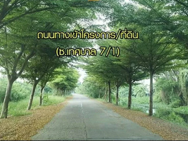 ขายที่ดินสวย ถมแล้ว ในซอย กันตนา บางใหญ่ นนทบุรี ประมาณ 11 ไร่ เดินทางสะดวก เข้าออกได้หลายเส้นทาง ใกล้ทางด่วนศรีรัช ถนนกาญจนาภิเษก