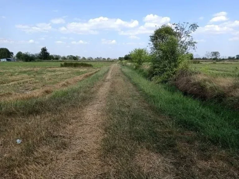 ขายที่ดิน เสาไห้ จังหวัดสระบุรี 33 ไร่ 148 ตรว ทำเลดีสุดๆ ขายถูก