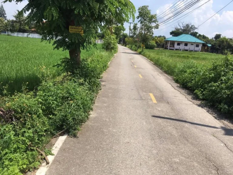 ขายที่ดินห่างท่ารั้ว 3 km สันปูเลยดอยสะเก็ตเชียงใหม่