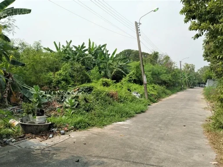 ที่ดินถมเเล้ว 100 ตรวา ถรามอินทรา 42 แยก 6 เขตคันนายาว กรุงเทพฯ