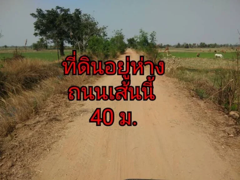 ขายที่ดินสำหรับทำการเกษตร บรรยากาศดี ดิน น้ำ อุดมสมบูรณ์ ใกล้สถานที่ราชการหลายแห่ง อเฉลิมพระเกียรติ จนครราชสีมา