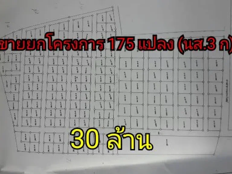 ขายเหมาที่ดินโครงการจัดสรร ทั้งหมด 175 แปลง ซอยโกรกตะคร้อ ใกล้ถนนเลี่ยงเมือง ใกล้เทศบาล ตไชยมงคล อเมืองนครราชสีมา