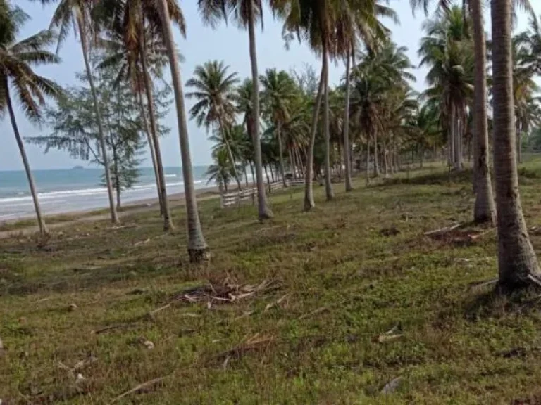 ขายที่ดินติดหาดทะเล 9 ไร่ บางสะพานน้อย ประจวบฯ ใกล้เขาทะลุ