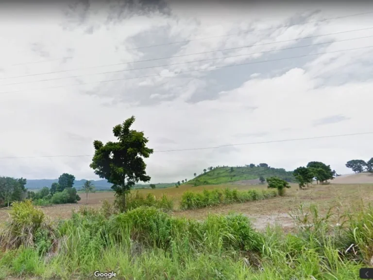 ขายที่ดินพร้อมปลูกบ้านวังน้ำเขียว จำนวน 3 ไร่ วิวสวย บรรยากาศดี อากาศเย็นสบาย ราคาต่อรองได้