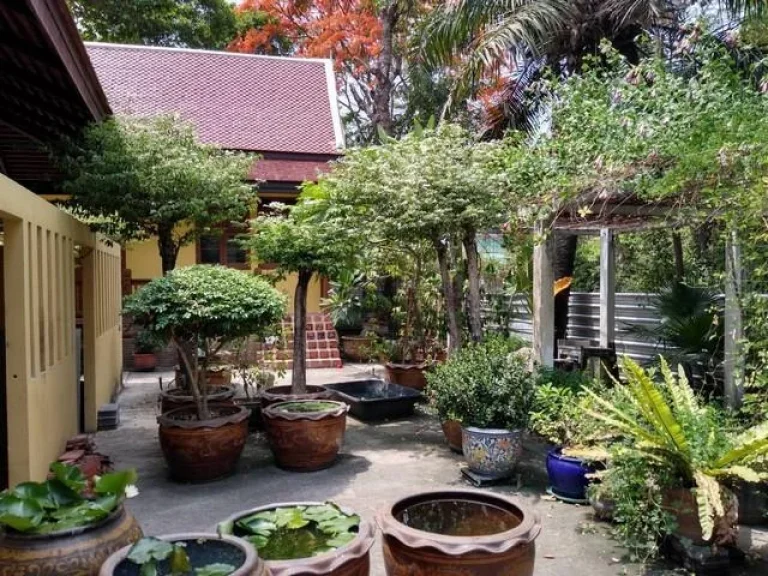 For Sale บ้านทรงไทย หลังใหญ่ ติดถนนราษฎร์อุทิศ มีนบุรี