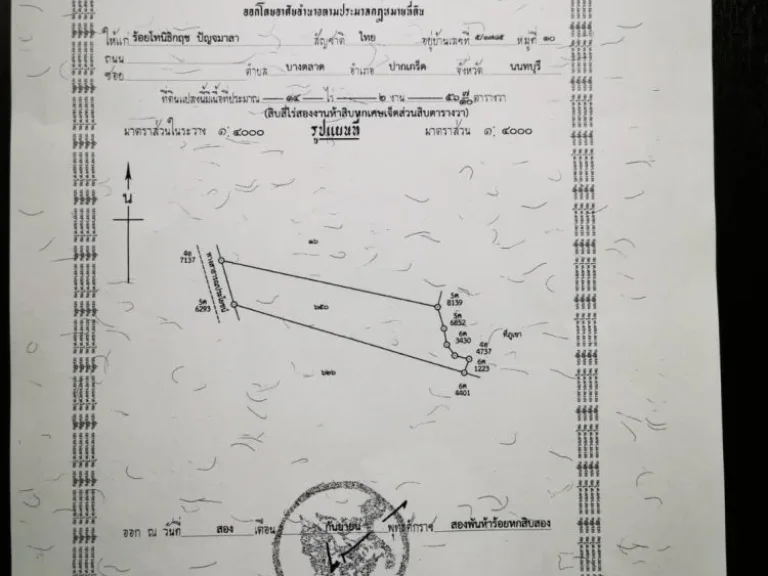 ขายที่ดิน 14-2-56 ไร่ ปากช่อง นครราชสีมา ติดถนน แปลงสวย ราคาถูกที่สุดในพื้นที่