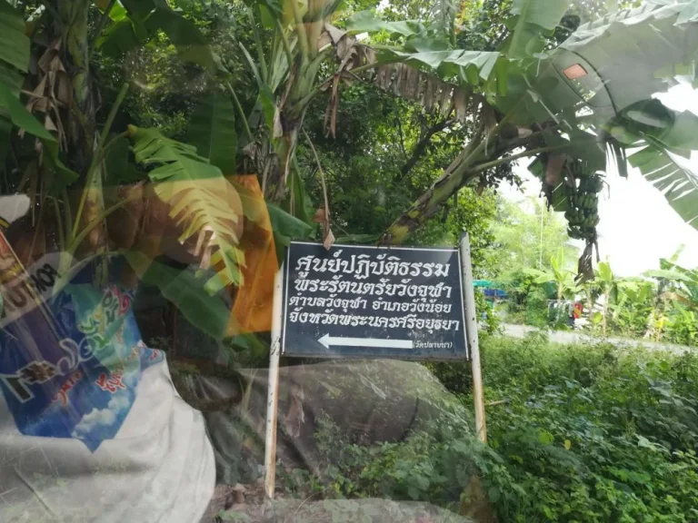 ขายด่วนที่ดิน 100 ตรว ในนิคมอุตสาหกรรมวังน้อย อยุธยา