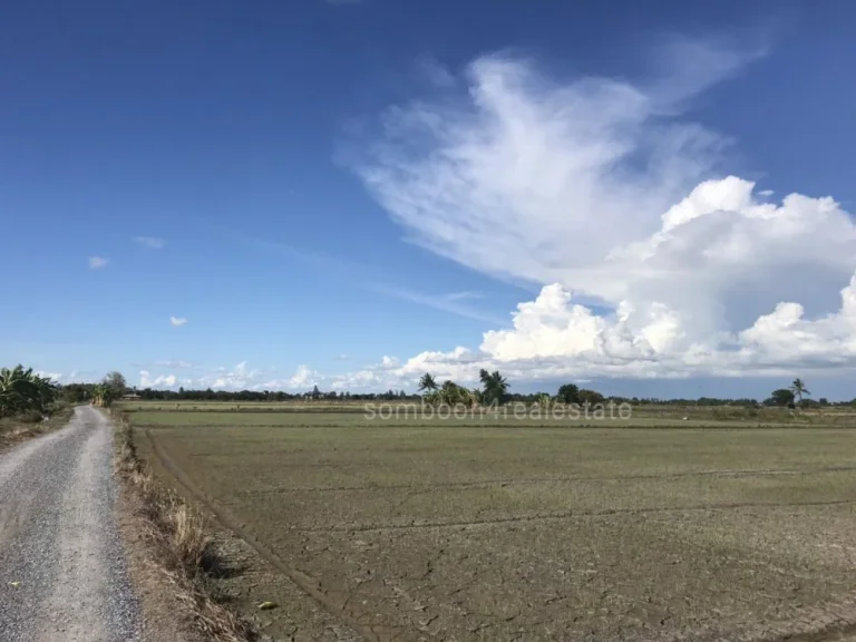 ขายทีดิน 92-0-63 ไร่ ติดถนนเลี่ยงเมืองสุพรรณบุรี