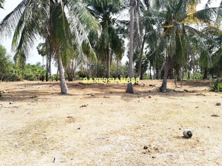 ที่ดินเปล่า ใกล้หาดบางเกตุ-หาดชะอำ