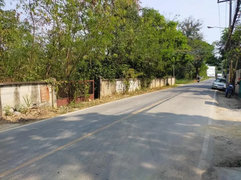 ขายที่ดินในหมู่บ้านร้องเรือนคำ ติดถนนคอนกรีต อำเภอเมืองเชียงใหม่