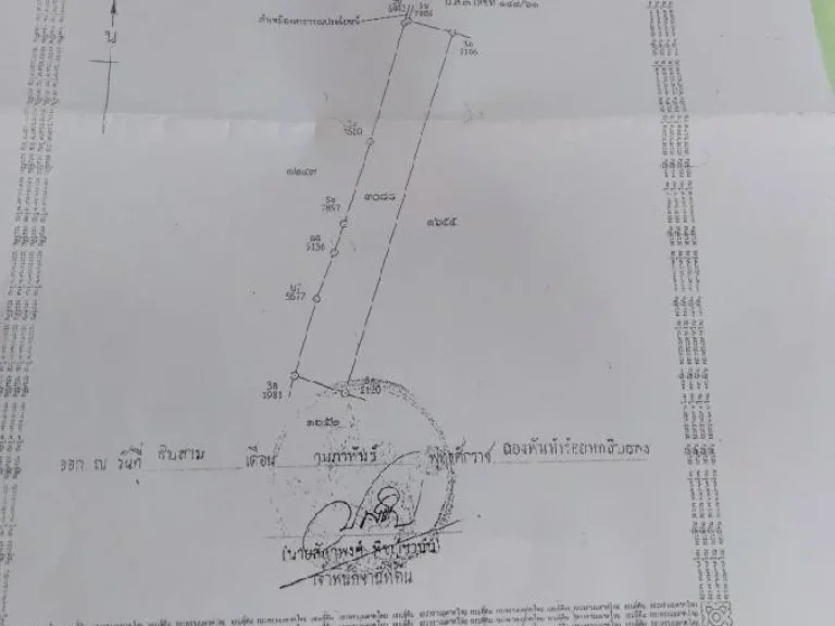 ขายที่บวกครกใต้ ท่าวังตาล สารภีเชียงใหม่