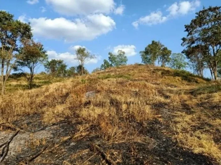 ขายที่ดินสวย เหมาะทำการเกษตร สร้างรีสอร์ท ขุดดินขาย อสอยดาว จจันทบุรี