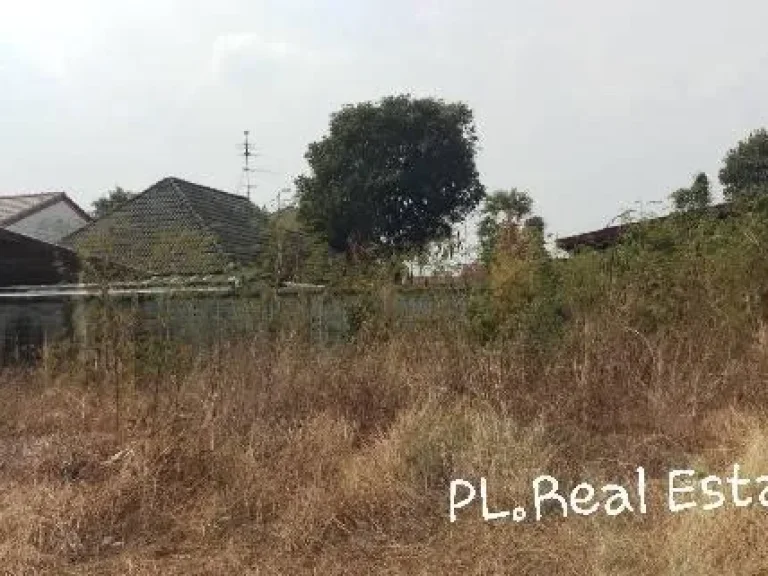 Land For Sale ที่ดิน 1 ไร่ 3 งาน 2 ตารางวา ซอยลาดพร้าว101