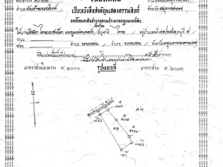 ขายที่ดินถมแล้วติดถนน 3-1-20 ไร่ พันท้ายนรสิงห์ สร้างโรงงานได้ ถุกมาก