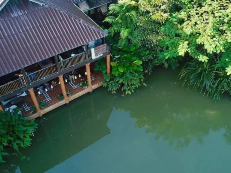 ขาย homestay resort สวย สงบ ร่มรื่น แวดล้อมไปด้วยธรรมชาติที่ยังคงความงดงามของเชียงใหม่ ตั้งอยู่ในพื้นที่ตำบลสันโป่ง อำเภอแม่ริม จังหวัดเชียงใหม่