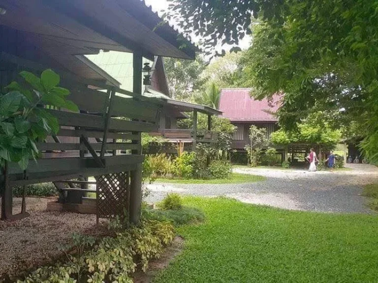 ขาย homestay resort สวย สงบ ร่มรื่น แวดล้อมไปด้วยธรรมชาติที่ยังคงความงดงามของเชียงใหม่ ตั้งอยู่ในพื้นที่ตำบลสันโป่ง อำเภอแม่ริม จังหวัดเชียงใหม่