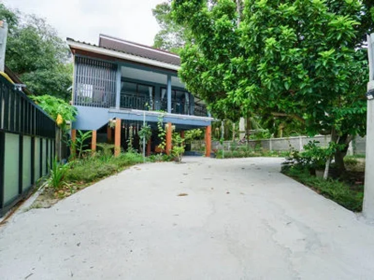 House for Sale Samui Lamai ขายบ้าน ละไม มะเร็ต สมุย 3 นอน ตลาดละไม