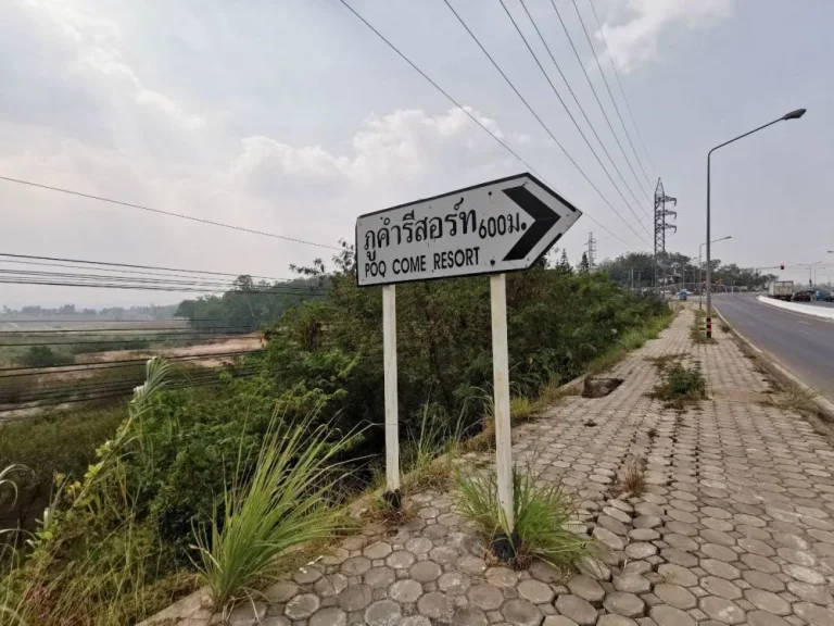 ที่ดินเขาค้อ KhaoKho Land ที่ดิน แบ่งขาย เขาค้อ เพชรบูรณ์ แปลงสวย วิวทะเลหมอก บรรยากาศดี