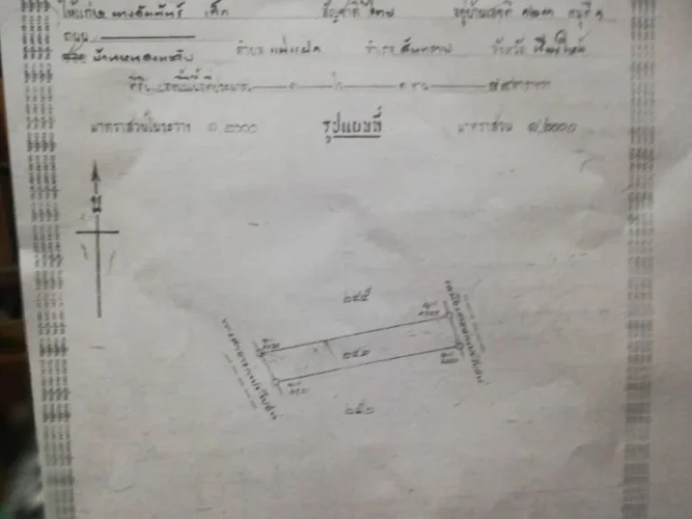 ต้องการขายที่นามีน้ำดีในเนื้อที่1-1-89ไร่ติดทางสาธารณประโยชน์ที่เชื่อมกับทางหลวงสายBypassแม่แตง-สามแยกบ้านหนองมจับ1414ไปออกยังทางหลวงสายเชียงใหม่-พร