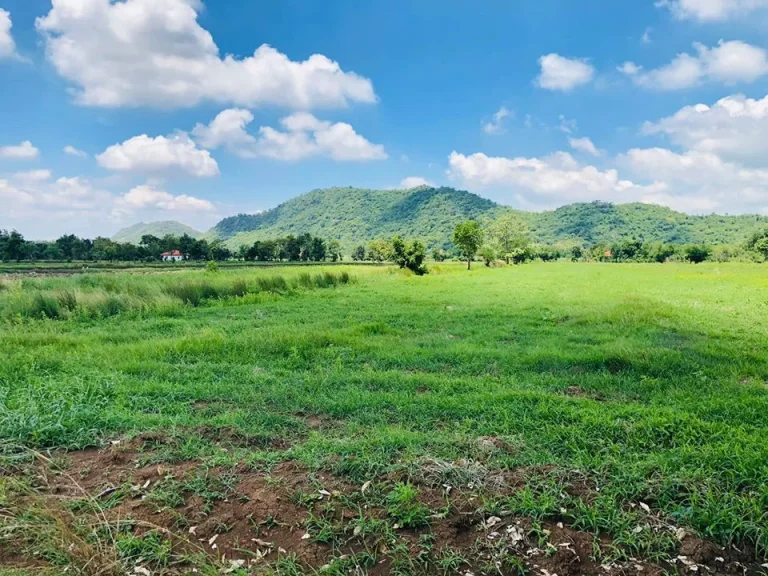 ที่ดินเปล่า โฉนด 100ตรว