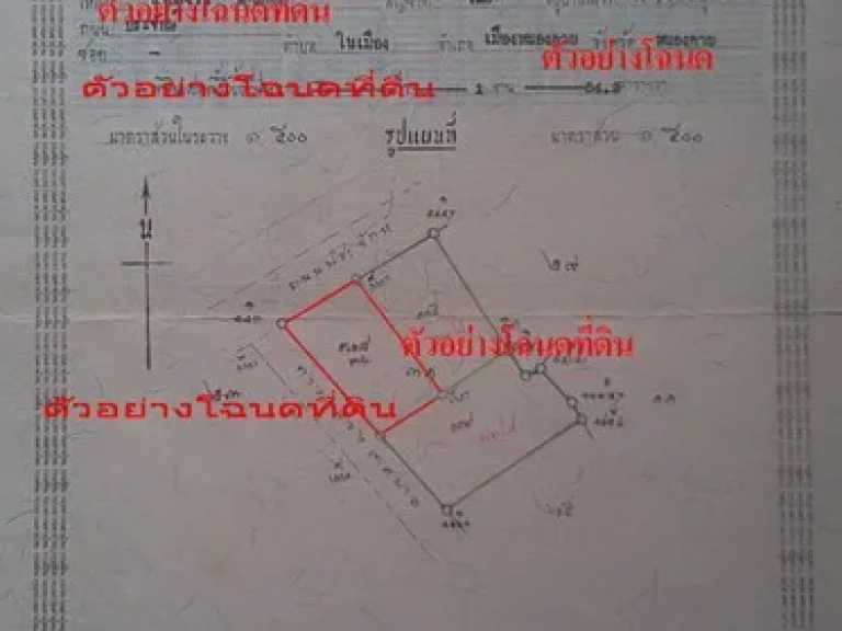 ขายที่ดินแปลงสวยเหมาะสำหรับทำธุรกิจหลายประเภท ติดถนนประจักษ์ ตในเมือง อเมือง จหนองคาย