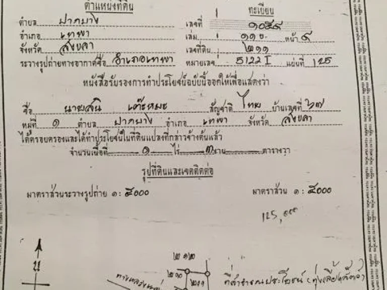 ขายที่ดิน - ดินติดถนนใหญ่4เลน แถวเทพาบีท ตปากบาง อเทพา จสงขลา