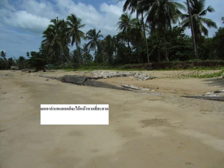 ขายที่ดินติดทะเล หาดส่วนตัว อำเภอหลังสวน