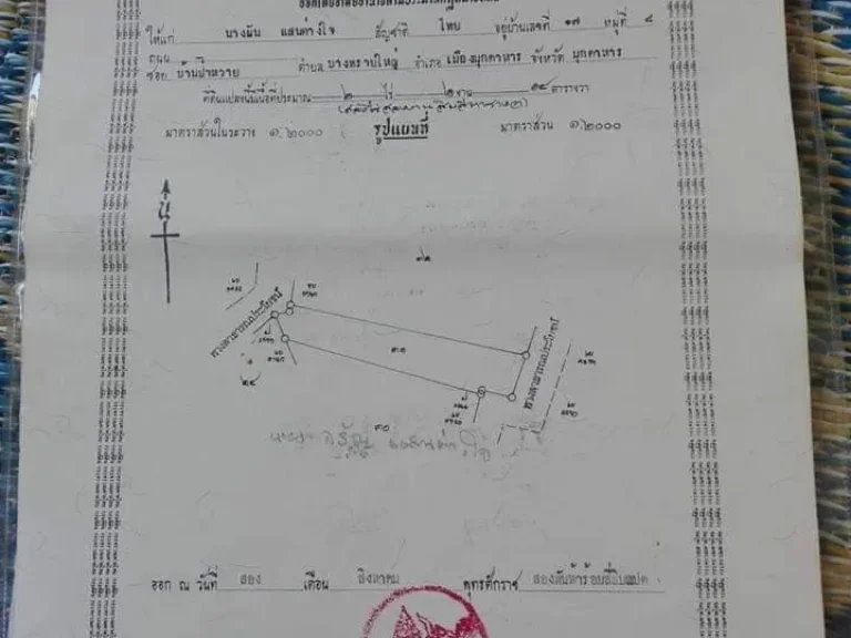 ขายที่ดินติดแนวถนนใหม่3019เนื้อที่2-2-11ตรว