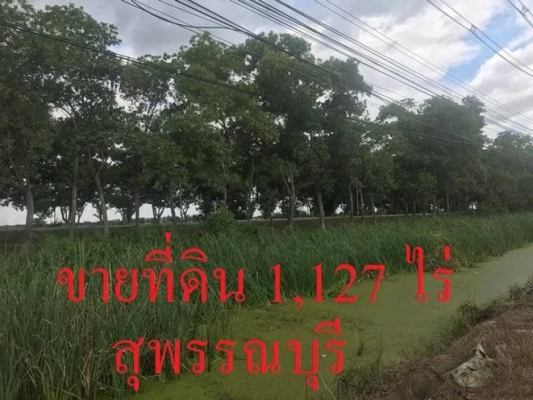 ขายที่ดิน1127 ไร่ จสพรรณบุรี ที่ดินผืนใหญ่